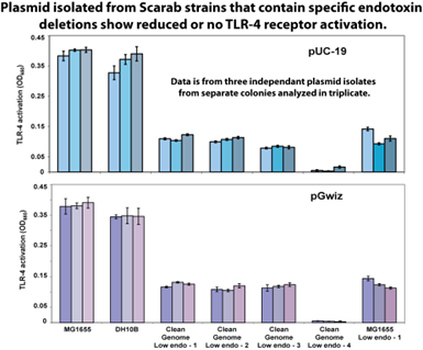 Plasmid isolated from Scarab strains that contain endotoxin deletions